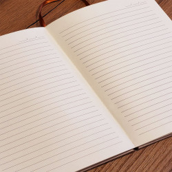 Promosyon Altın Şerit Detaylı Premium Ajanda